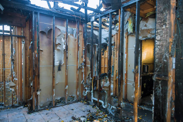 Professional Fire Damage Removal technician working in Milford, NE